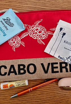 The In-Flight Dossier: A survival kit of essentials for maintaining comfort during long-haul travel.