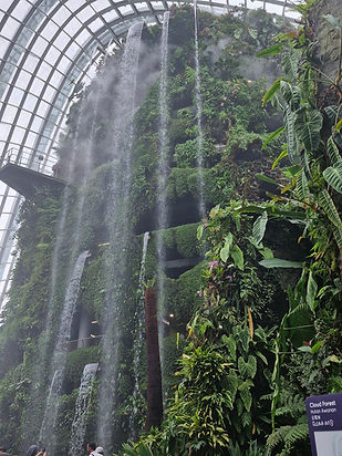 Singapore Cloud Forest Dome: A technical audit of the 35-metre man-made mountain and climate-controlled ecosystem.