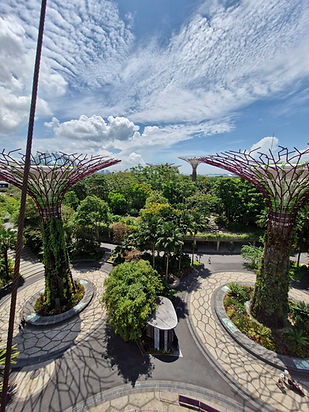 Supertree Grove Garden Rhapsody: An architectural survey of Singapore’s vertical gardens and sustainable urban design.