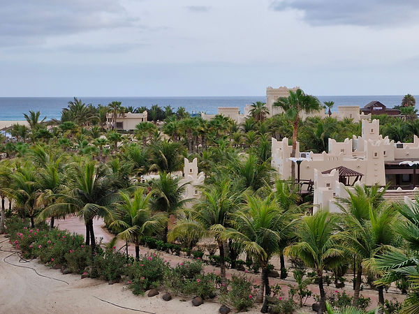 Weedon & Co, view from the hotel Riu Touareg