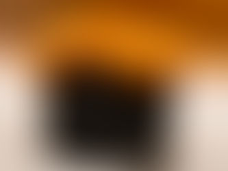 Omakase in Bangkok | Autumn Premium Sea Urchin