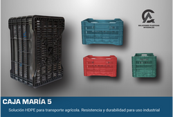 CAJA MARIA 5