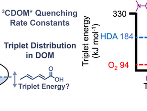 A deeper understanding of the triplet probe sorbic acid