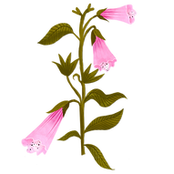 1FFCD613-03C0-45A8-90E7-8B2CD42D6F09.png