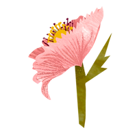 C7AE2BE5-9015-4098-9B29-8F6A2057F82A.png