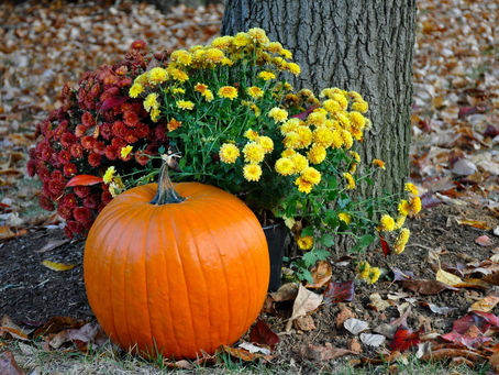 Top Tips For Raking Messy Autumn Leaves the Right – and Safe – Way