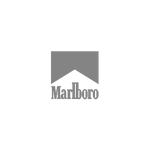 463346634634.png