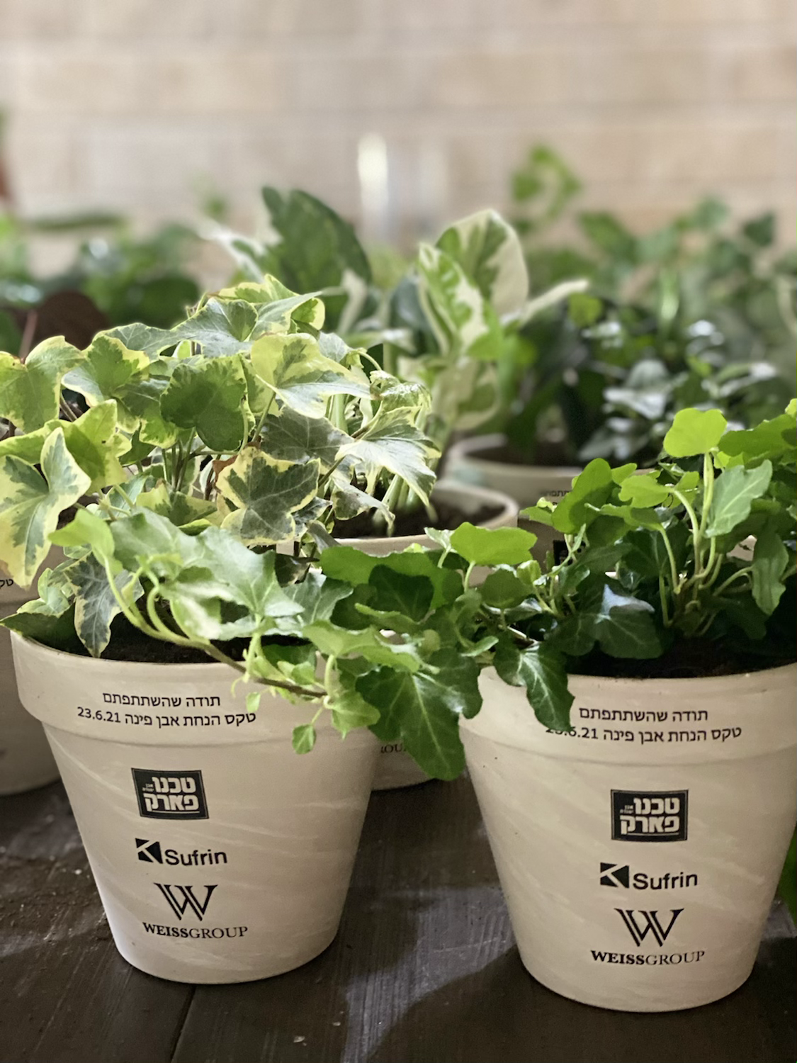 עציץ ממותג ;הדפסה על הכלי