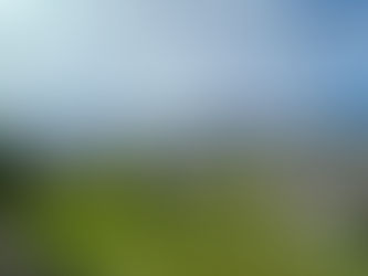 VENDU - Belle maison individuelle sur les hauts de Bramois