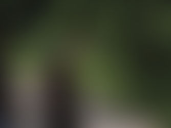 Now Hiring Student Home Workers