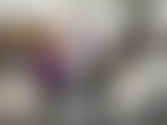 Sharing Knowledge Across the North: IFNA Presents at the NUNAMED Conference