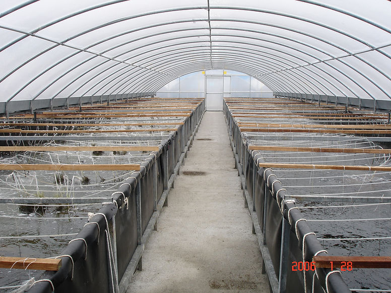 Indoor Super Intensive System (3).jpg