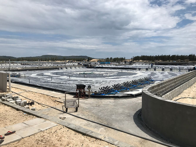 Phu Yen, Vietnam 2019 Intensive shrimp f