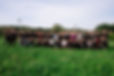 image00008[1].jpeg