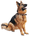 580b57fbd9996e24bc43bbda.png