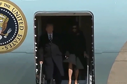 plane swat.gif