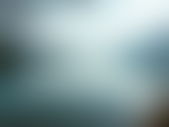 Linda Wütherich: Ihre Stimme für Bottighofen