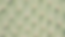 cactus background small.png