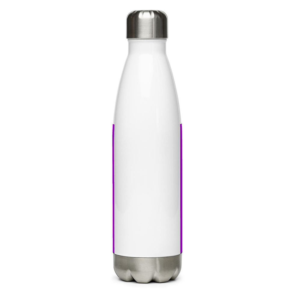 Thumbnail: Stainless Steel Water Bottle