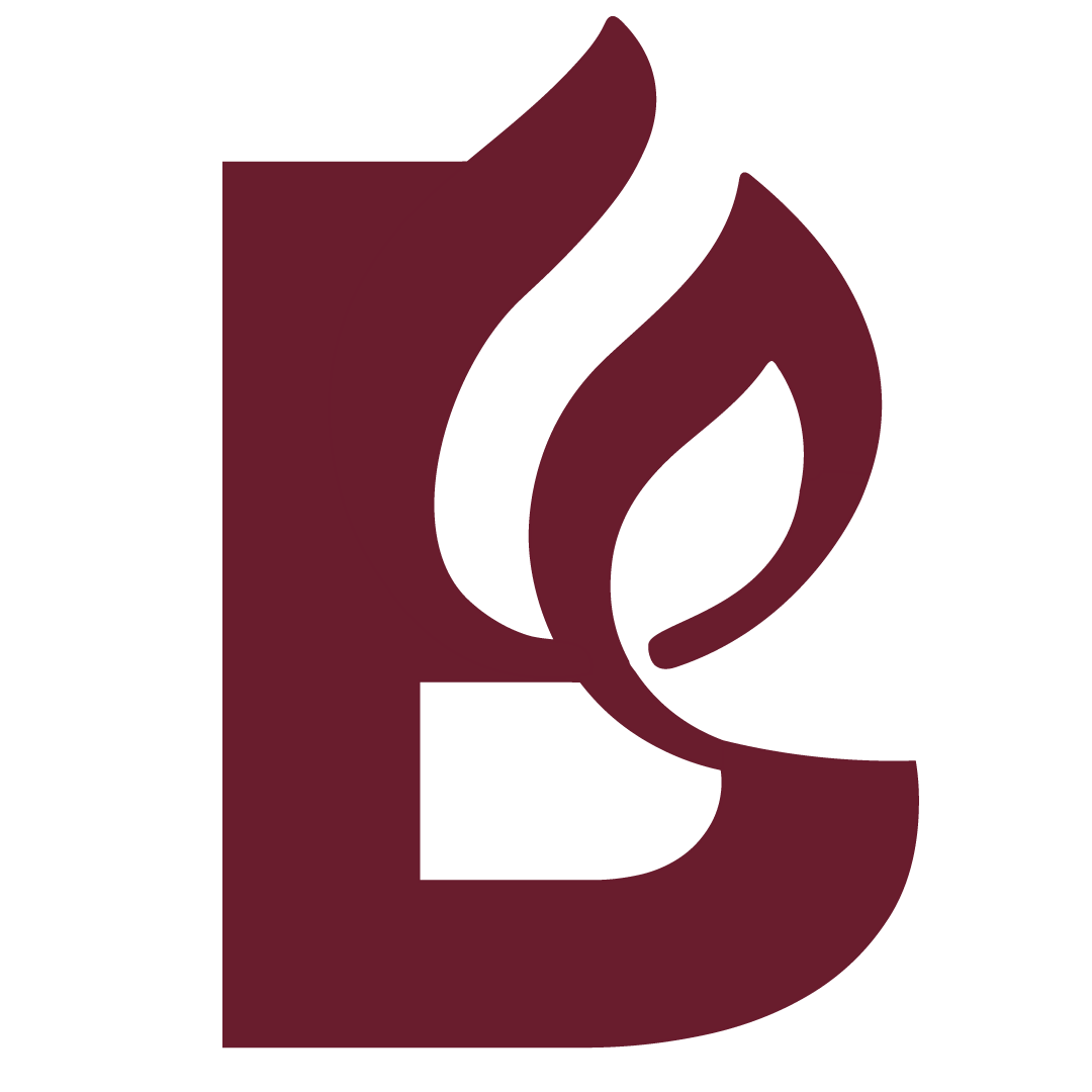 Footer logo BRANTT social media beheer