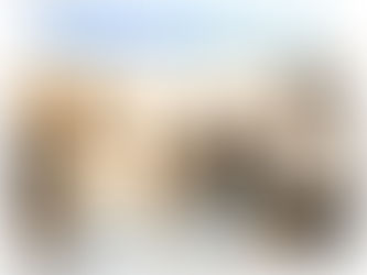 中国でもいよいよ「定年延長」、日本と違って猛反対が多い理由