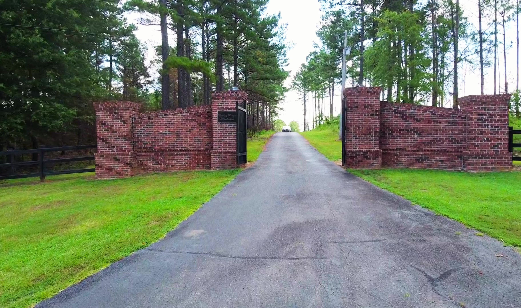 Whitetail hunt — Turkey Ridge Plantation
