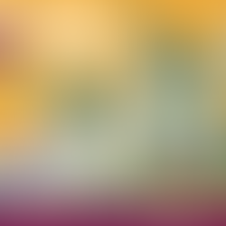 2020 Census & United Way Association of South Carolina