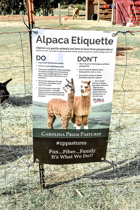 alpaca etiquette
