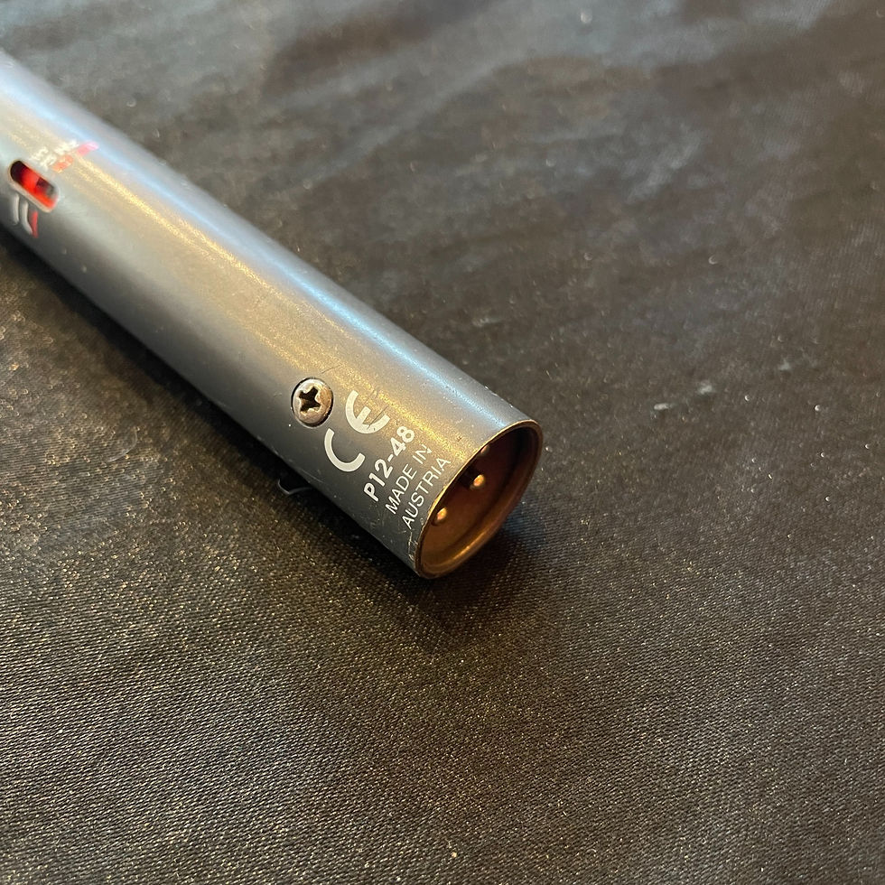 Thumbnail: AKG SE 300B  with CK91 capsule - Condenser Microphone