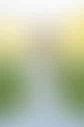 Bride and groom enjoying a romantic photo session in the beautiful countryside near Brookfield Barn, capturing intimate moments in nature.