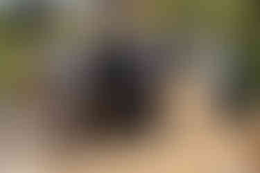 Outdoor wedding ceremony at Brookfield Barn, with guests enjoying the beautiful countryside backdrop.