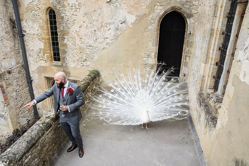 Amberly Castle Wedding Day, West Sussex Photographer, wedding ceremony, small party in the garden, peacock