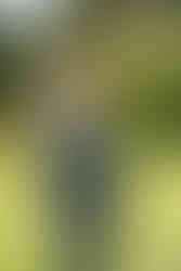 Guests enjoying the presence of wild birds at Brookfield Barn, adding a unique and natural touch to the wedding celebration