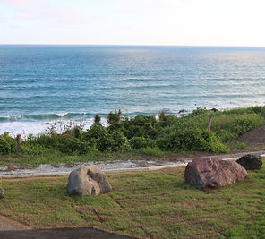 IMG_7487.JPG