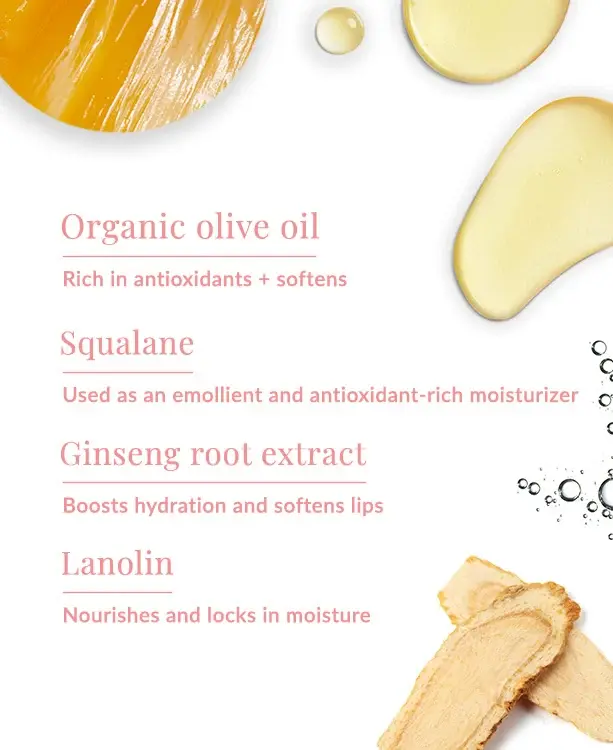 DHC Olive Lip Cream | Nourishing Moisturizing Lip Balm with Olive Oil