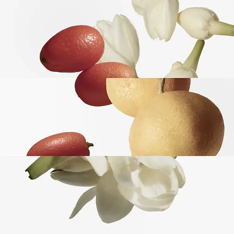HERMÈS Le Jardin de Monsieur Li Eau de Toilette