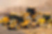 Plant Hire