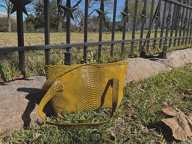 135783928_1111895422557788_1351157080430