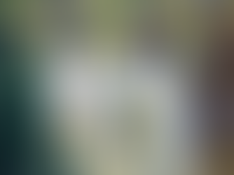 A Perfect Fit: Unveiling the Importance of Proper Saddle Fit.