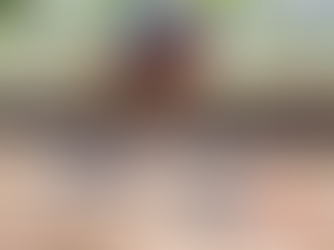 The Impact of Pole Work on Your Horse's Back and Limbs: A Closer Look