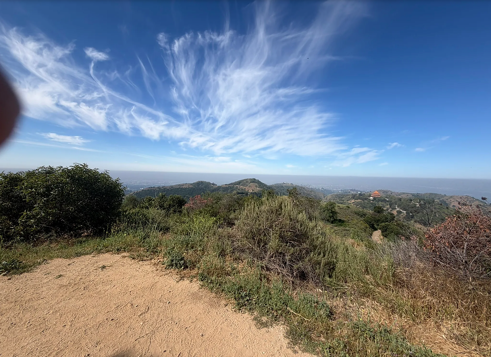 NASU Hiking - Turnbull Canyon, Rattlesnake Ridge & Sumac Trail Loop