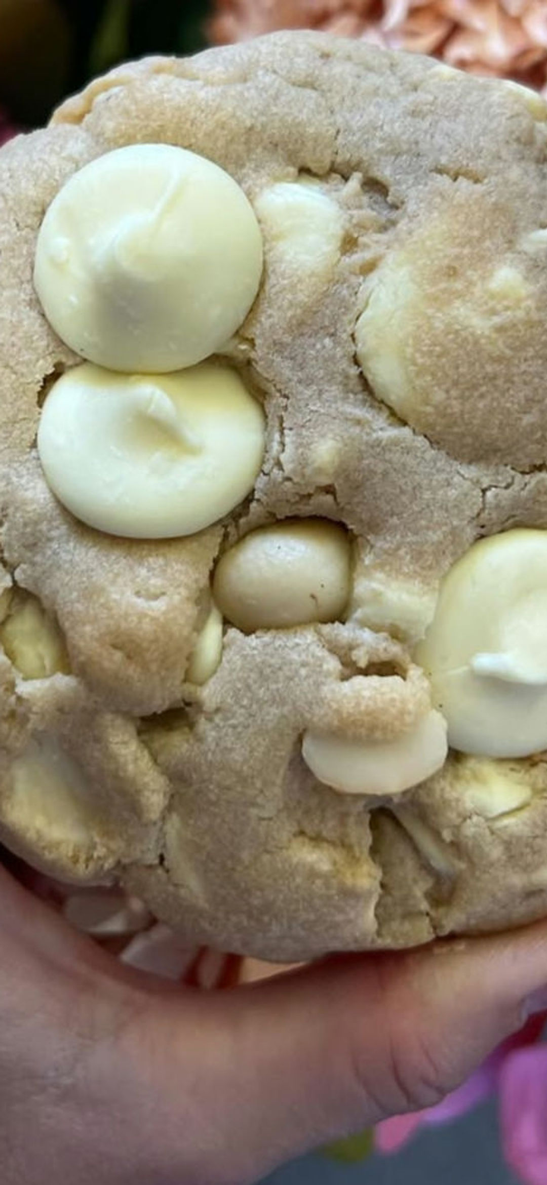 GF** White Choc Macadamia