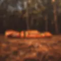 Thumbnail: Gazelle T4 Tent
