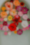Soulflower: Six Session Package
