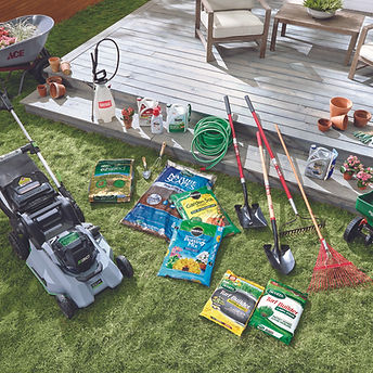 EOY2023_SpSage_Lawn-OPE-S_Shot_20-600x396-3f520e8.jpg