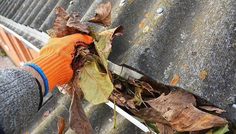 Man wearing glovers cleaning the gutter.jpg