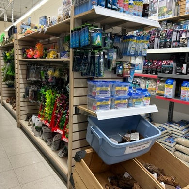 Inside view of fish pet store