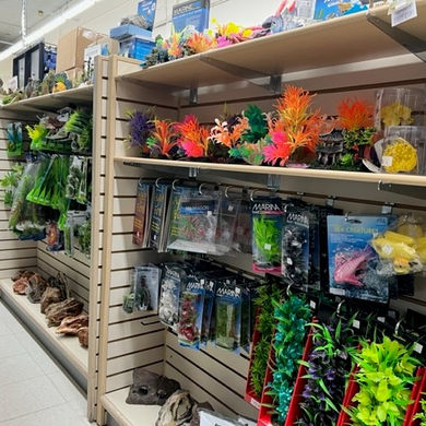 Aquarium ornaments in store