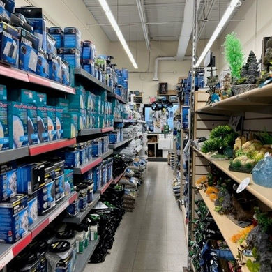 Inside view of pet store