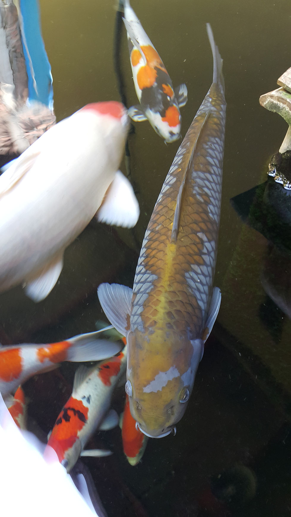 20150627_133023